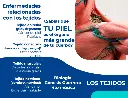 brochure-tejidos-back.webp