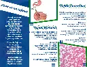 brochure-de-wylianni-2.webp