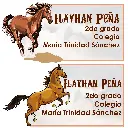 ilayhan.webp