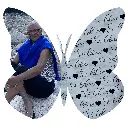 mariposa Dilcia libre.webp