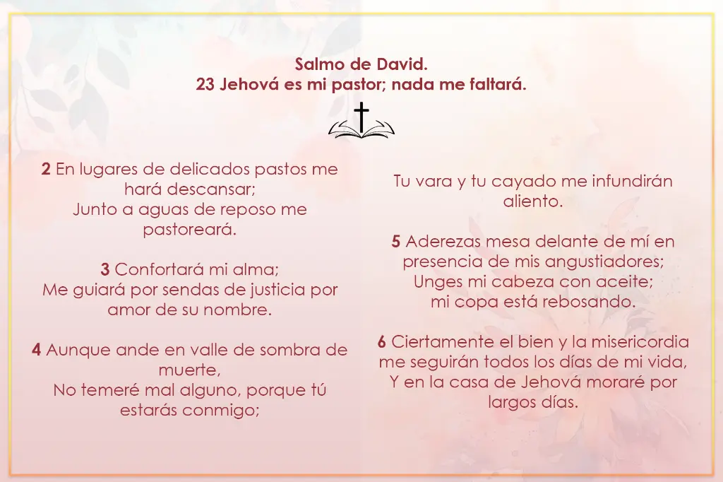RECORDATORIO-TAMAÑO-ESPECIAL-BACK.webp