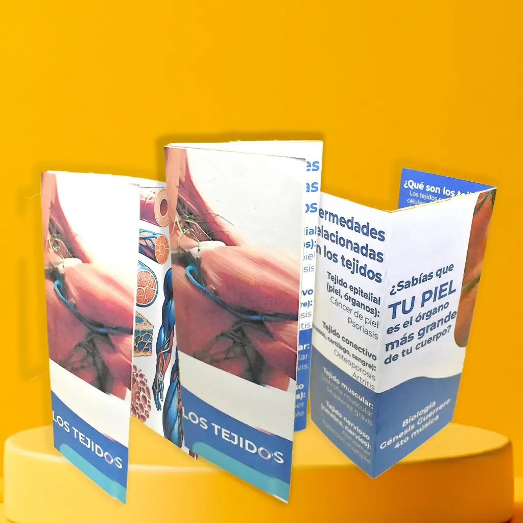 Brochures informativos o publicitarios